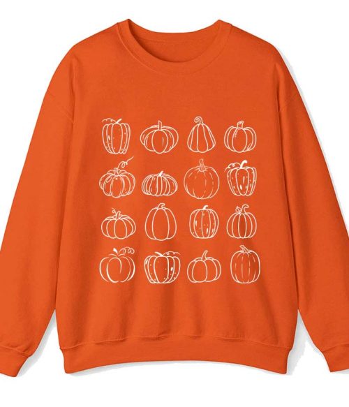 Pumpkins We Are All Different Teacher Sweatshirt