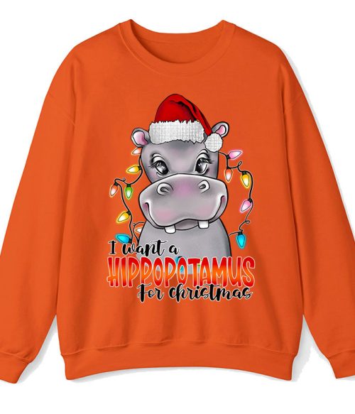 I Want A Hippopotamus For Christmas Teacher Sweatshirt