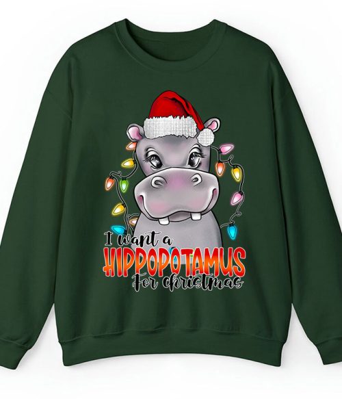 I Want A Hippopotamus For Christmas Teacher Sweatshirt
