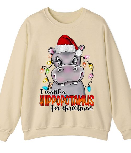 I Want A Hippopotamus For Christmas Teacher Sweatshirt